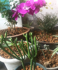 �ֵ���õ�һ�����