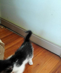 ����è�����ˡ����������·��