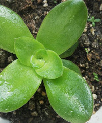 ������裬��֪������˭�ܸ����Ҷ���ʲô��