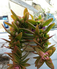 �Ҽҵ����⣬��������