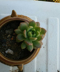 �Ҽҵ����⣬��������