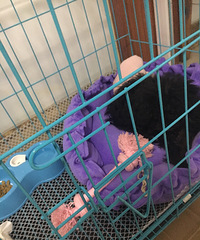 �������㡿+�������¼�����