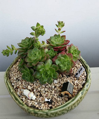 �ֵ���õ�һ�����