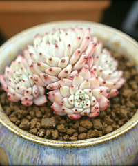 ������ֱ����Ծ���˶����Խ��Խ��������