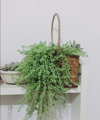 �ֵ���õ�һ�����