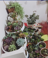 �ֵ���õ�һ�����