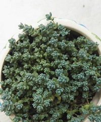 û�·�����