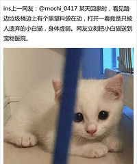 �����������Сè�����ٱ�������ÿ����˯��Ҫǣ��������