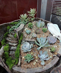 �ֹ�����