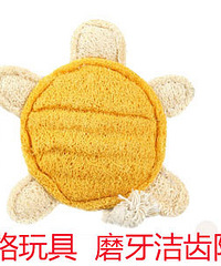 ��ɹ�˶��ա�Ӯ����ţ��鼰˿�������