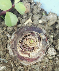 ���������˿��������ˣ����ڿ�����ϣ��