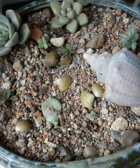 ����һ��