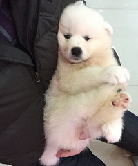 为什么还在单身呢?因为你没有送她可爱的小