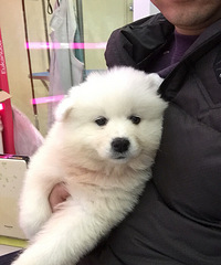 为什么还在单身呢?因为你没有送她可爱的小