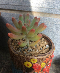 �ֵ���õ�һ�����