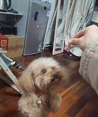 ���˶��ա�+Ϊ�˳� ƴ��