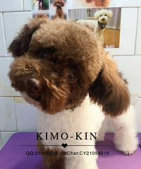 ̨���񻷣�1����ɿ���ɫ��̩�ϣ�����С��