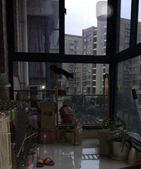 ���˶��ա�+�ı�����6����������