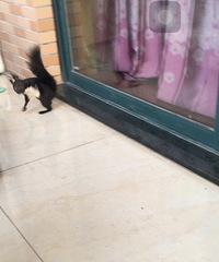 ���˶��ա�+�ı�����6����������