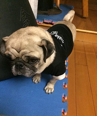 ���˶��ա�+���·�