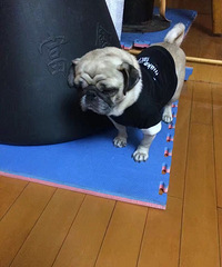 ���˶��ա�+���·�