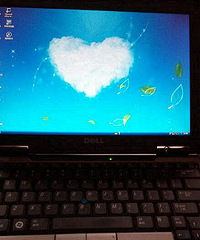 �ʼǱ��ͼ�ת550