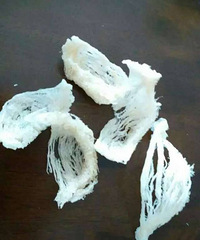 不漂亮才是好燕