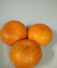 冬季补充维生素
