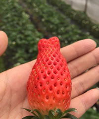 喜欢的看这里
