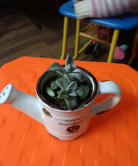 ���ֵ���õ�һ����⡿+��֪��������ô����