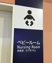 "带10个月宝宝游日本"