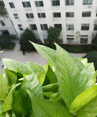 ΪʲôҶ�Ӽ��佹����