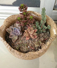 ��ô�����ն���