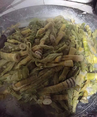 回娘家才叫旅行 吃得好花销低心情好