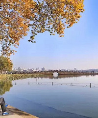 碧云天,黄叶地 行走于杭州的秋色无边