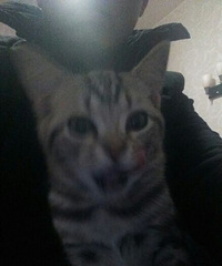 �Ҽҵ������ˡ�������