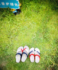 �����İ��������ˣ�