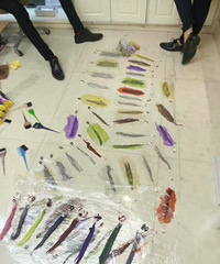 ������Ⱥ�е�����