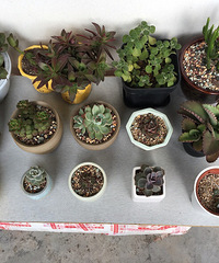 ������ĵģ��ô������һ��