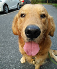 ����+¿��