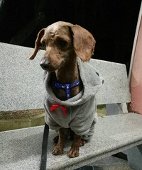 ˭�����ˣ�������