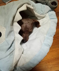 ˭�����ˣ�������