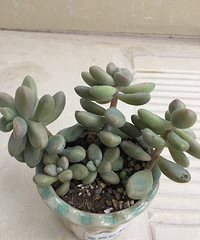 ��������ɹ���ˣ�