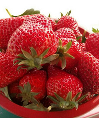 ��ũ�ҷ���ֲ�Ĳ�ݮ��ζ�����ǲ�һ��������