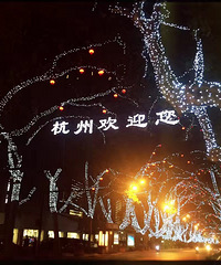 就是为了这一句话 5年前跑来了杭州