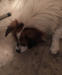 �����±�������ĵĹ���