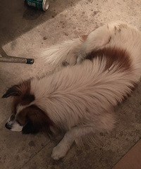 �����±�������ĵĹ���