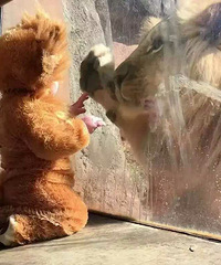 С�к�����ʨ�ӱ���ȥ����԰ ��ʨ�ӿ���������Ȧ�ˣ�