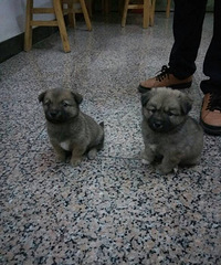 ��·��С��