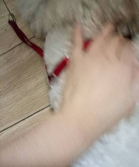 �����죡������������12��19���ڽ���